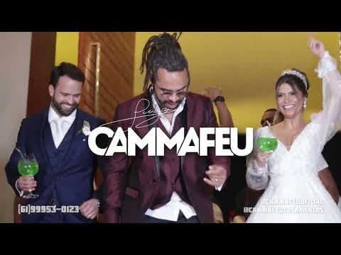 vídeo