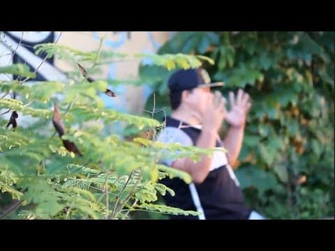 vídeo