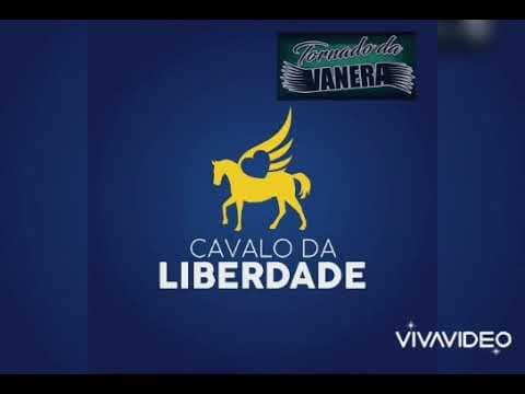vídeo