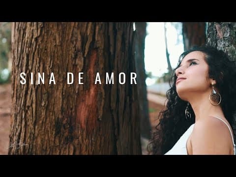 vídeo